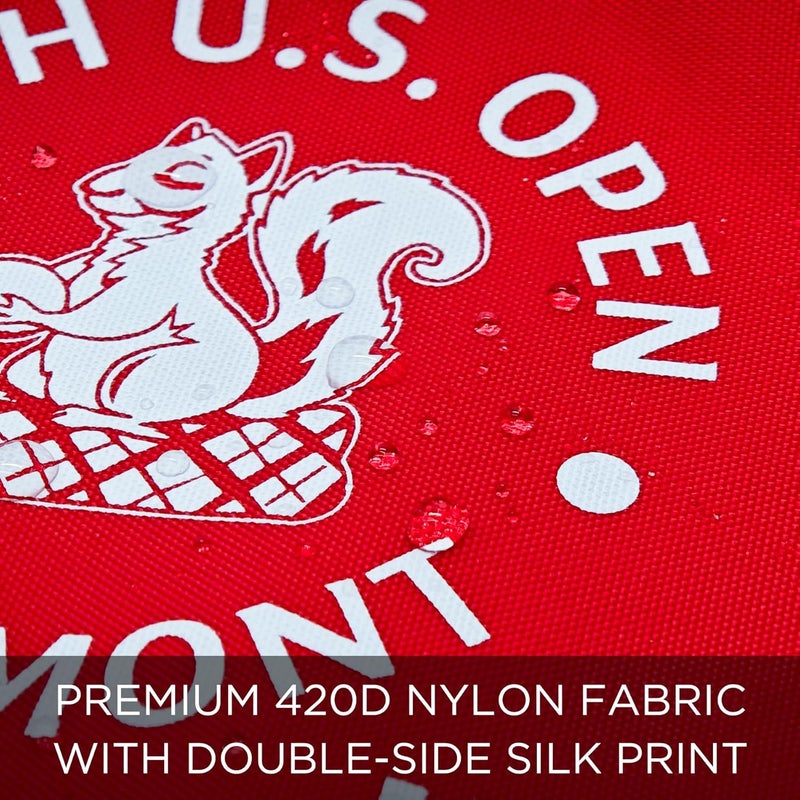 COGOLFING 2025 Themed Mini Golf Flag, 8x6 Inch, Double-Sided Silk-Printed, Durable 420D Nylon, Ideal for Backyard Practice Putting Green - Image 2